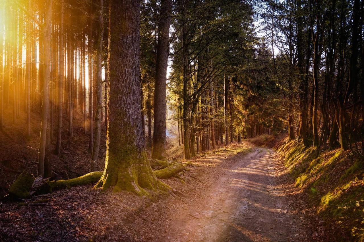 Ferienwohnung Am Waldweg Kaisersesch المظهر الخارجي الصورة